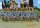 Foot Sergeants