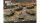 BMP-1 or BMP-2 Company (Plastic)